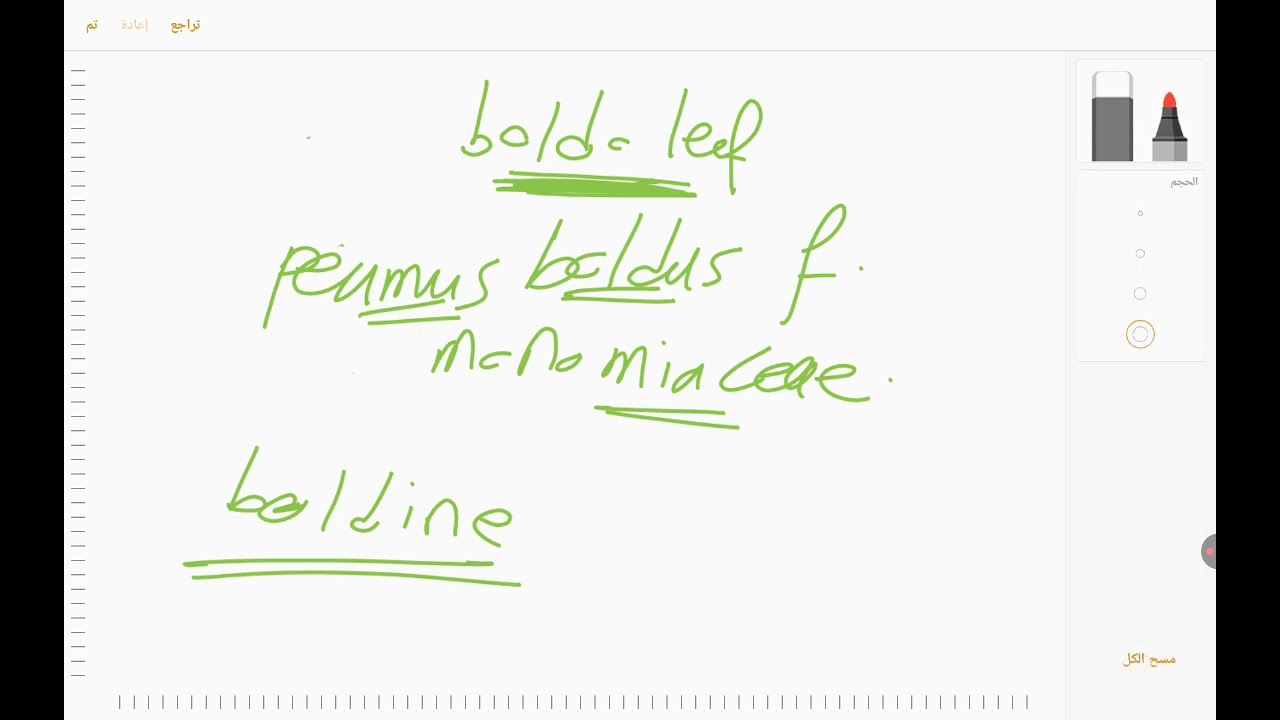 Boldo leaf
