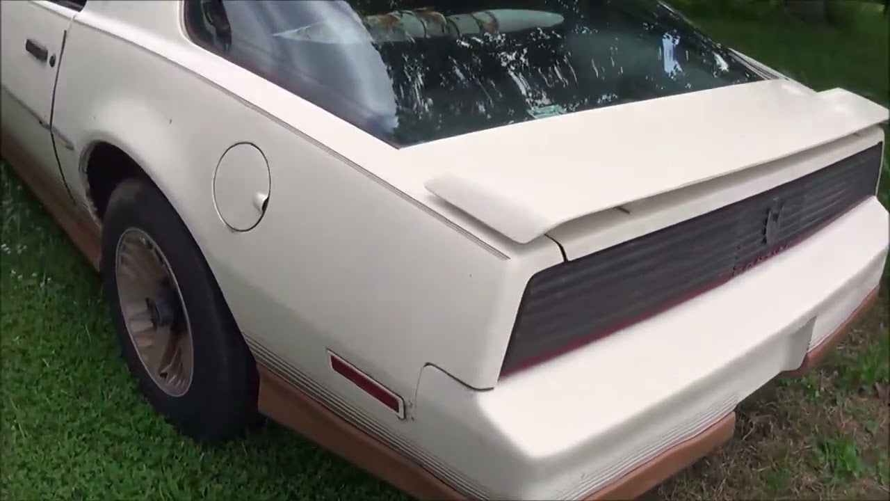 1984 Pontiac Trans Am Dreamgoatinc Hot Rod Classic and Muscle Cars 