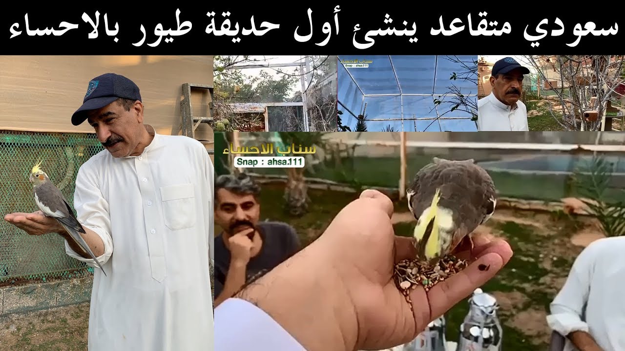 سعودي متقاعد ينشئ أول حديقة طيور بالاحساء