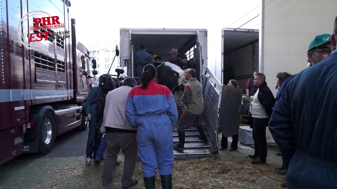 SIA 2014 : Dans les coulisses de l'installation