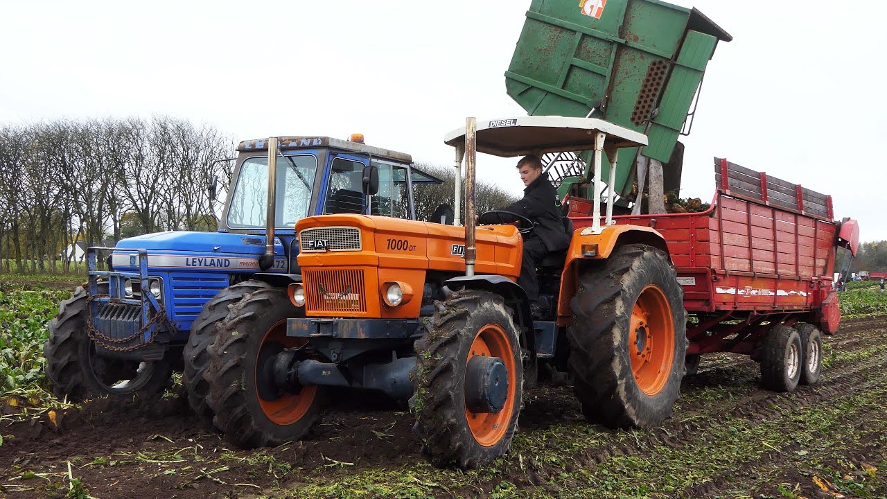 Vintage Sugarbeet Harvest 2025 | Lots of Tractors in The Field