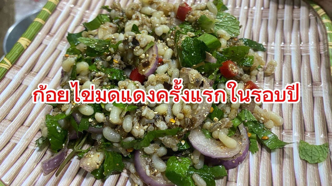 เปิดฤดูกาลไข่มดแดงกับเมนูก้อยไข่มดแดงครับ#อาหารอีสาน #food 