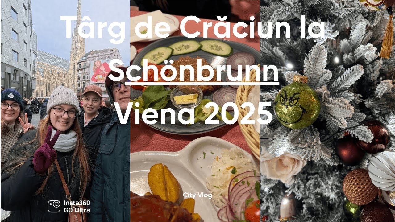 Târg de Crăciun la Schonbrunn - De la palat imperial la reduceri serioase - Viena, ziua 2