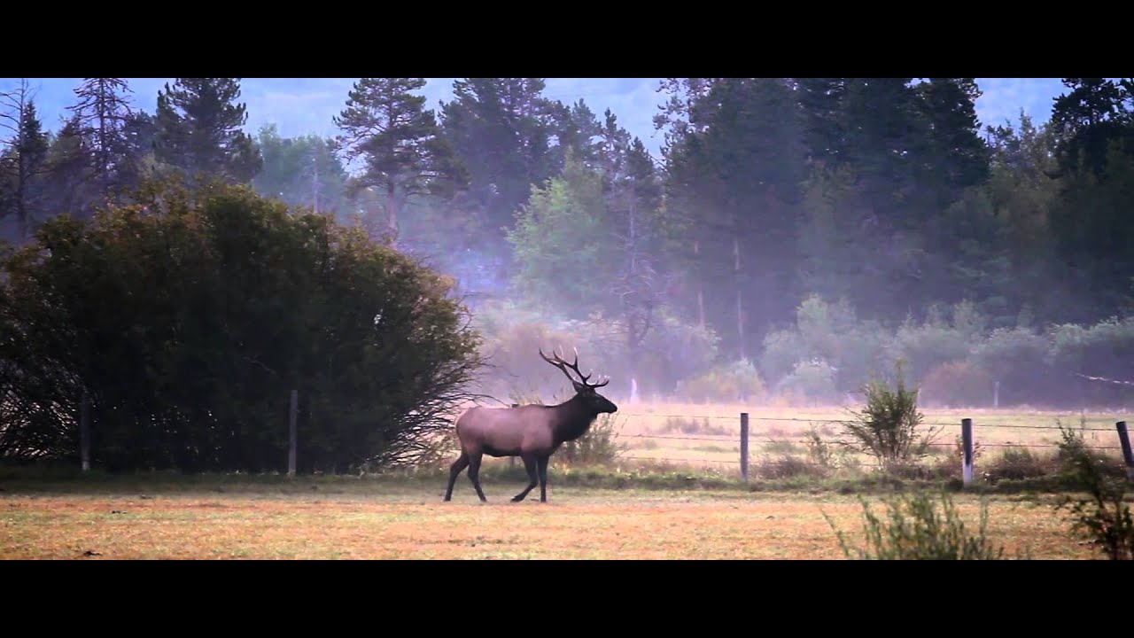 VandeWater Ranch, Jackson Hole, Wyoming
