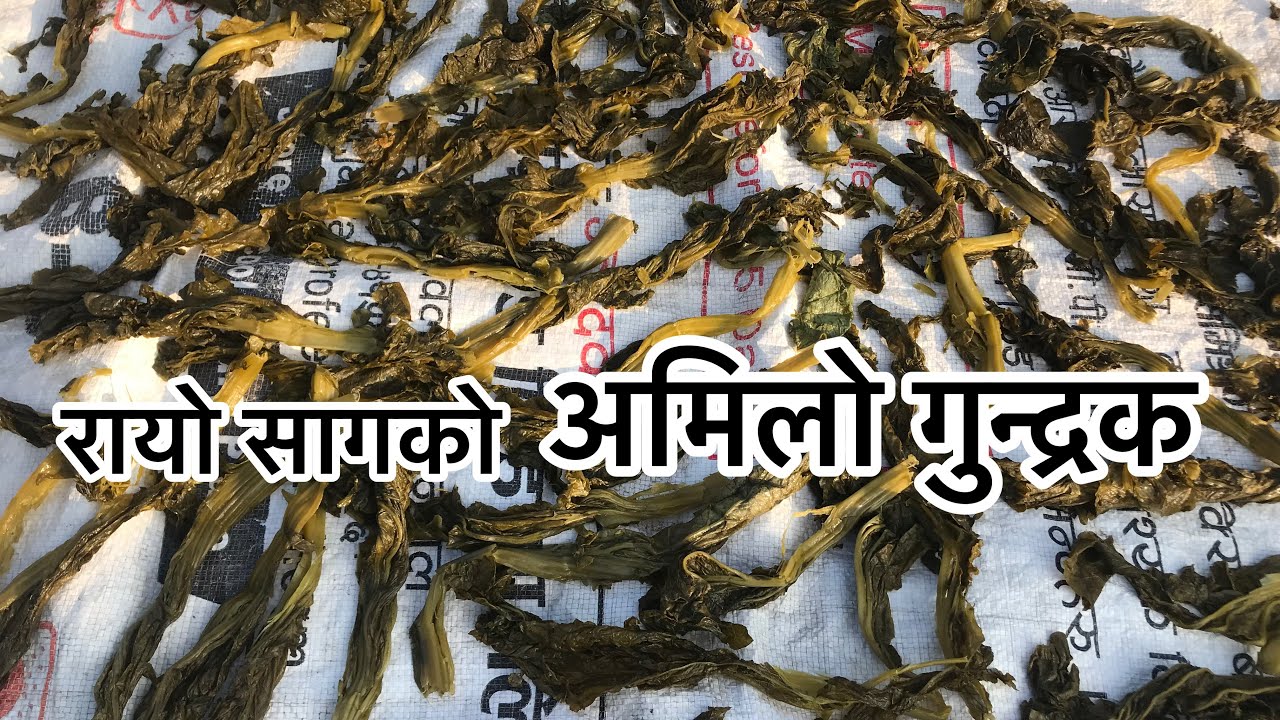 Rayo Saag Ko Amilo Gundruk Recipe Banaune Tarika | Gundruk Kasari Banaune