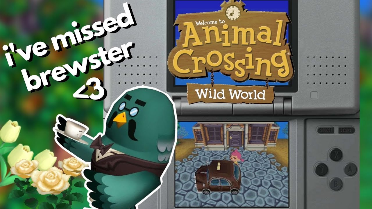 Playing Animal Crossing: Wild World for the First Time!