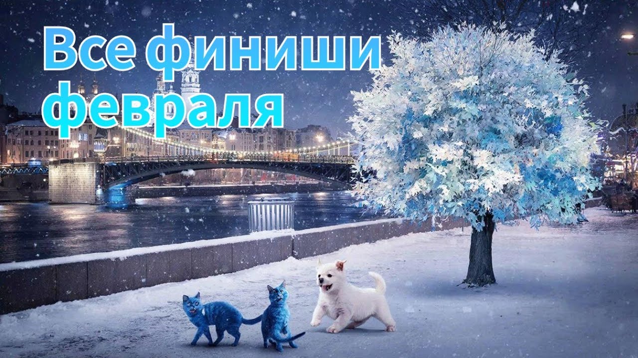 Все финиши февраля.