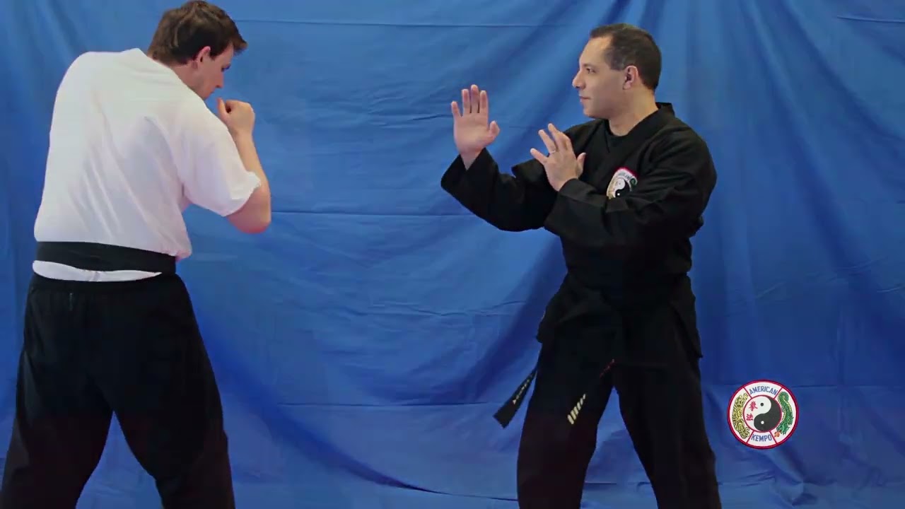 Kempo Karate White Belt Techniques