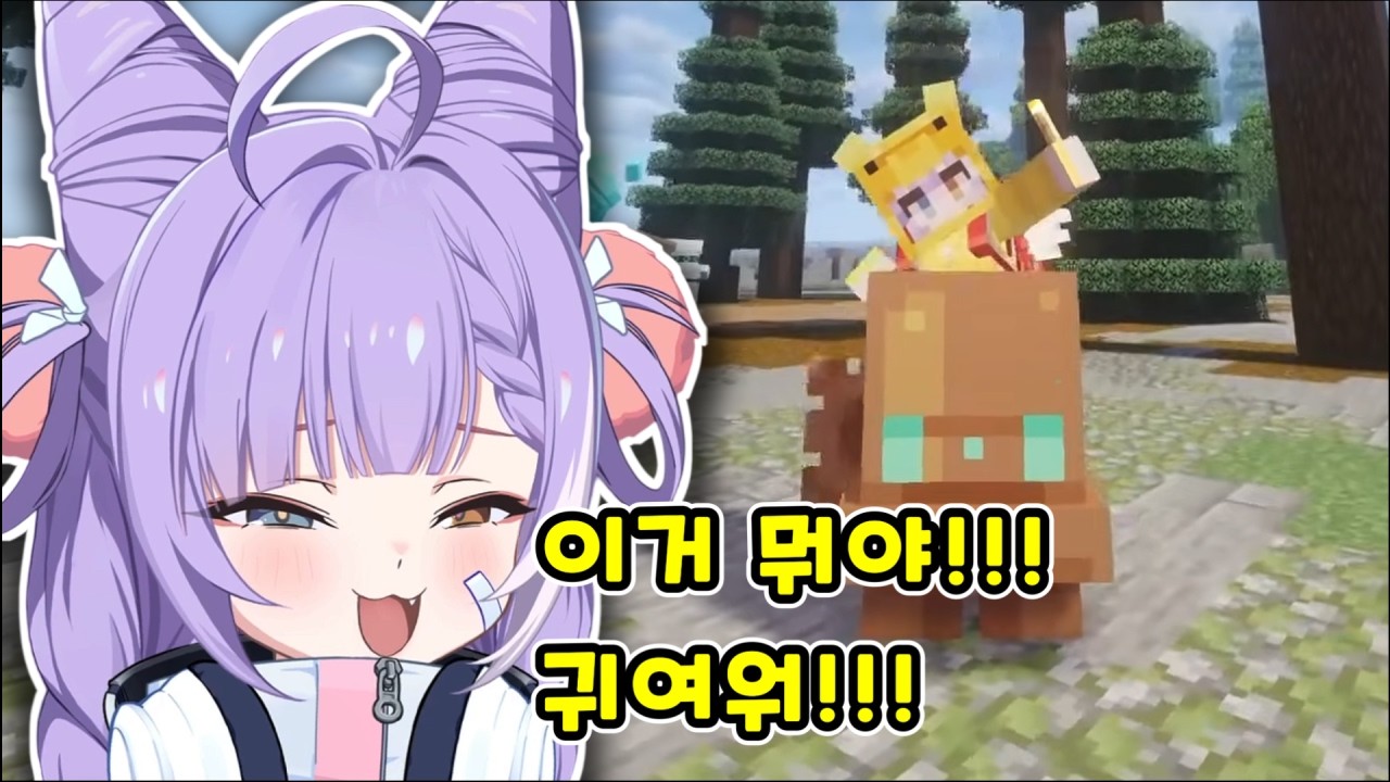 귀여운 펫 타고 신난 귀여운 녀석 [텐코 시부키]