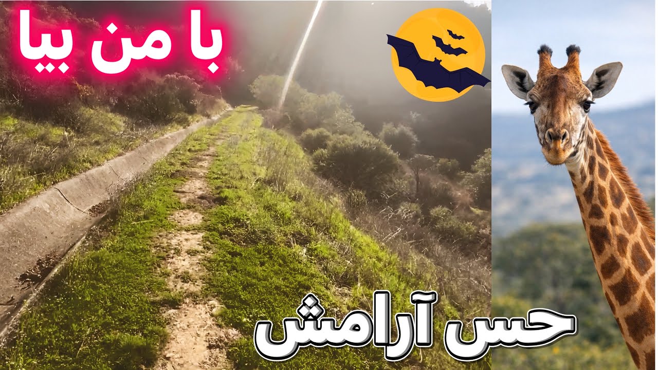 آیا هیچ می دانید بعضی وقت ها چشم انسان درست کار نمی کند و فکر می کنی همه چیز سر چپه شده!!!!!!