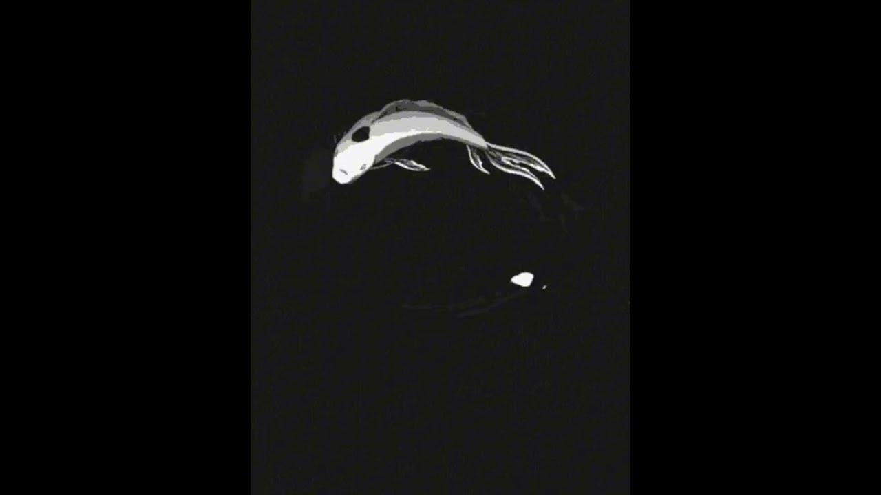 Opposites | ASND (DEMO)