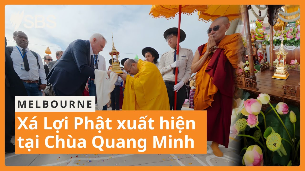 Xá Lợi Phật xuất hiện tại chùa Quang Minh | SBS Vietnamese