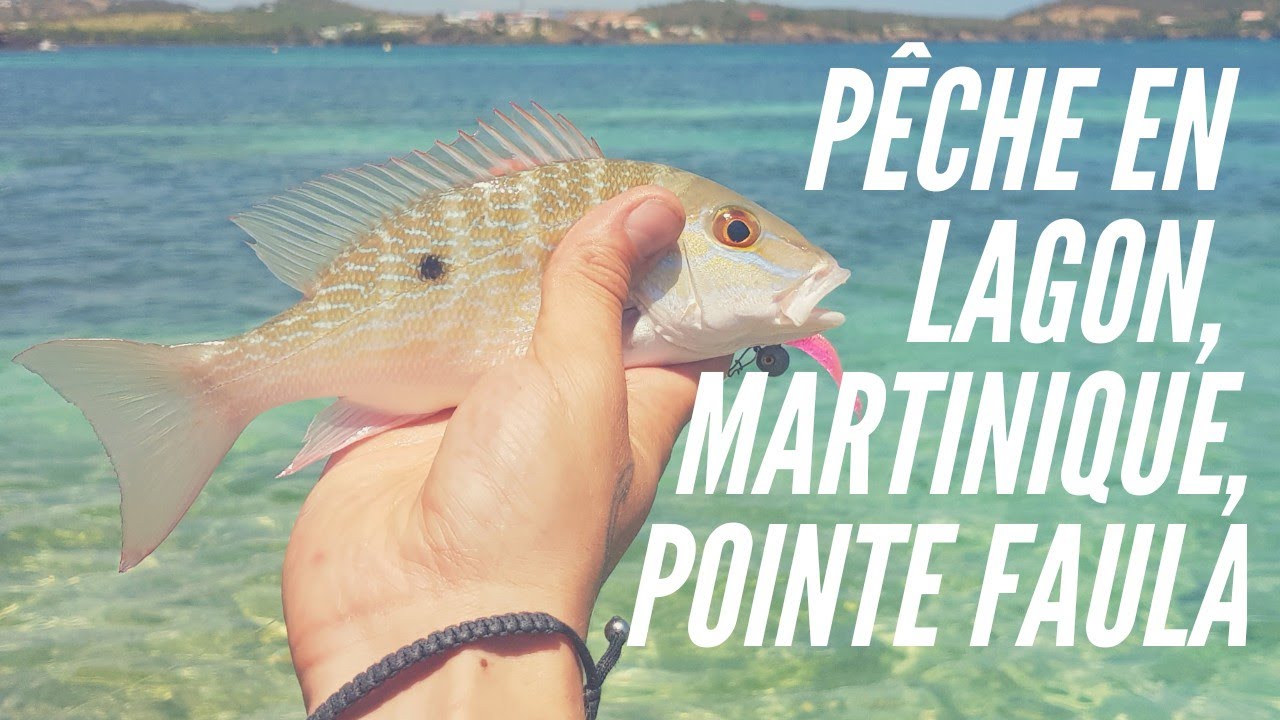 Pêche en lagon, pointe Faula, Martinique