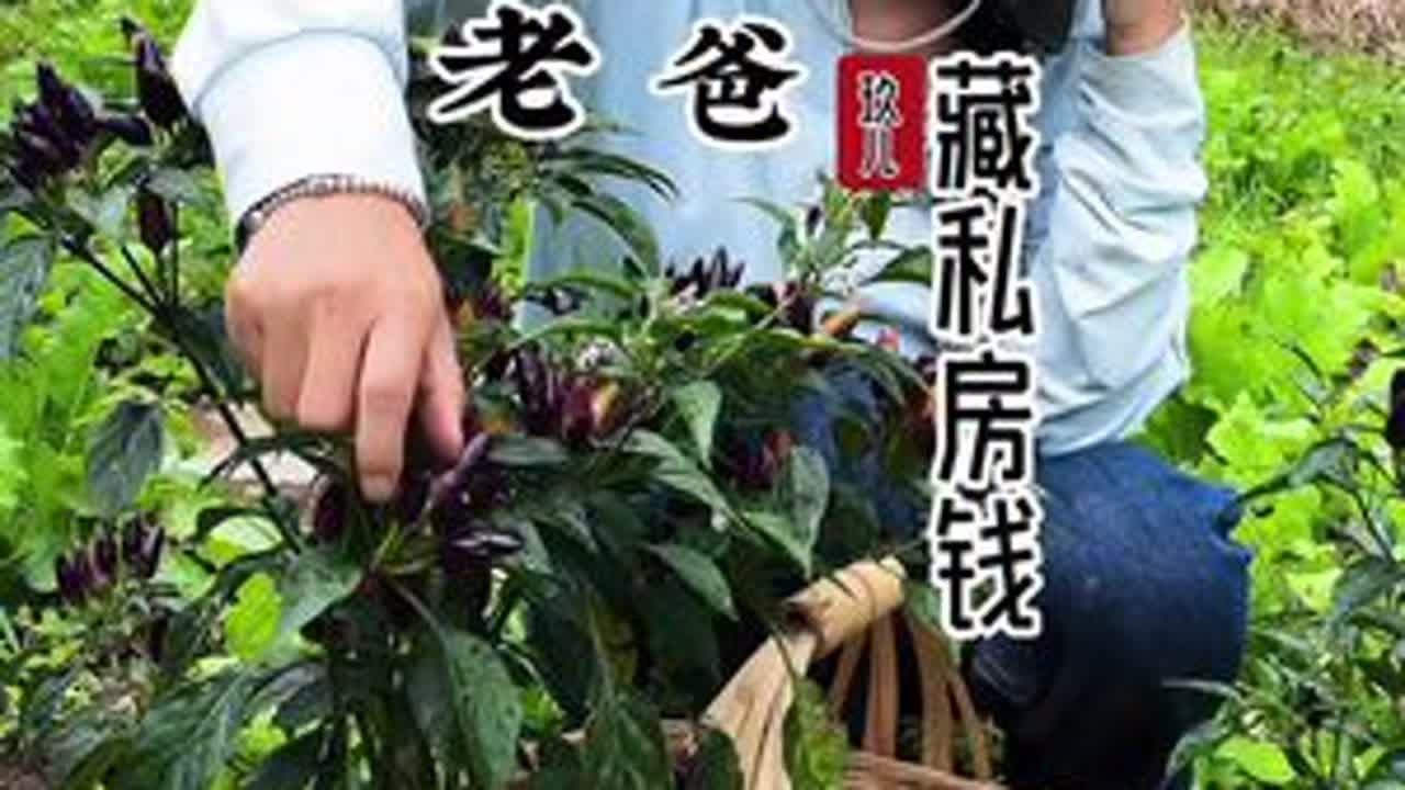 老爸背着老妈偷偷藏私房钱，我以为他不要我们了，结果却是这样的#我的乡村生活 #农村美食