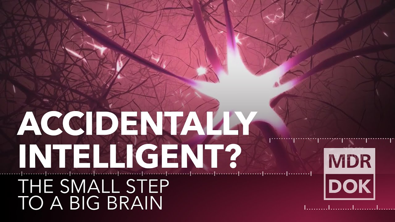 Accidentally Intelligent? The small step to a big brain | MDR DOK