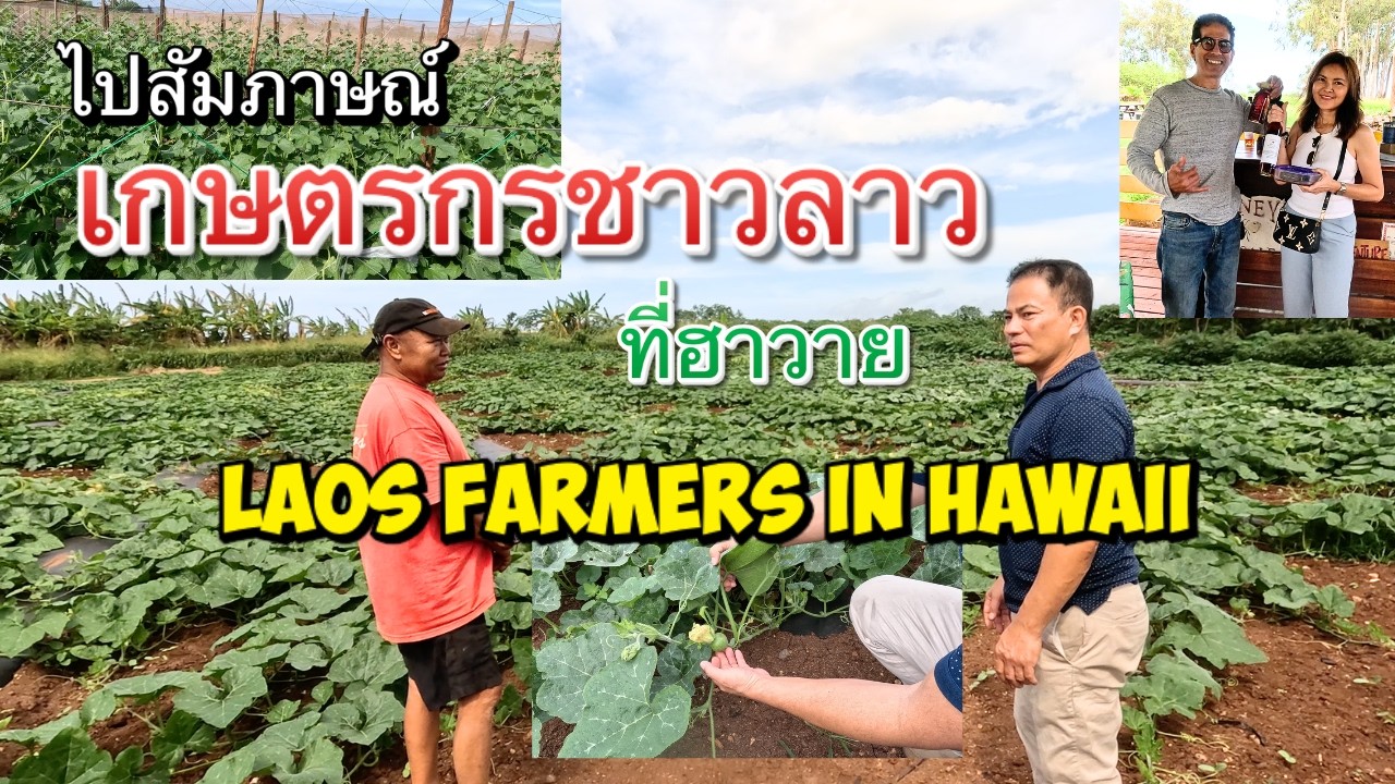 เกษตรกรชาวไทยและลาวในไวอาลัว, ฮาวายVisit Thai, Laos farmers in Waialua Hawaii