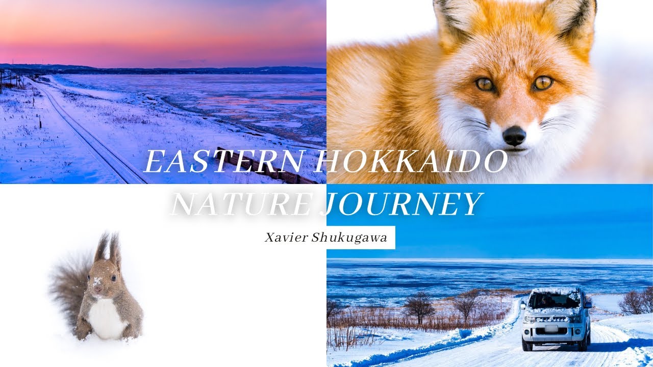 Eastern Hokkaido Nature Journey