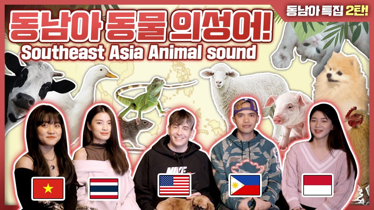 동남아시아 동물 의성어 차이! (필리핀 태국 베트남 인도네시아)
