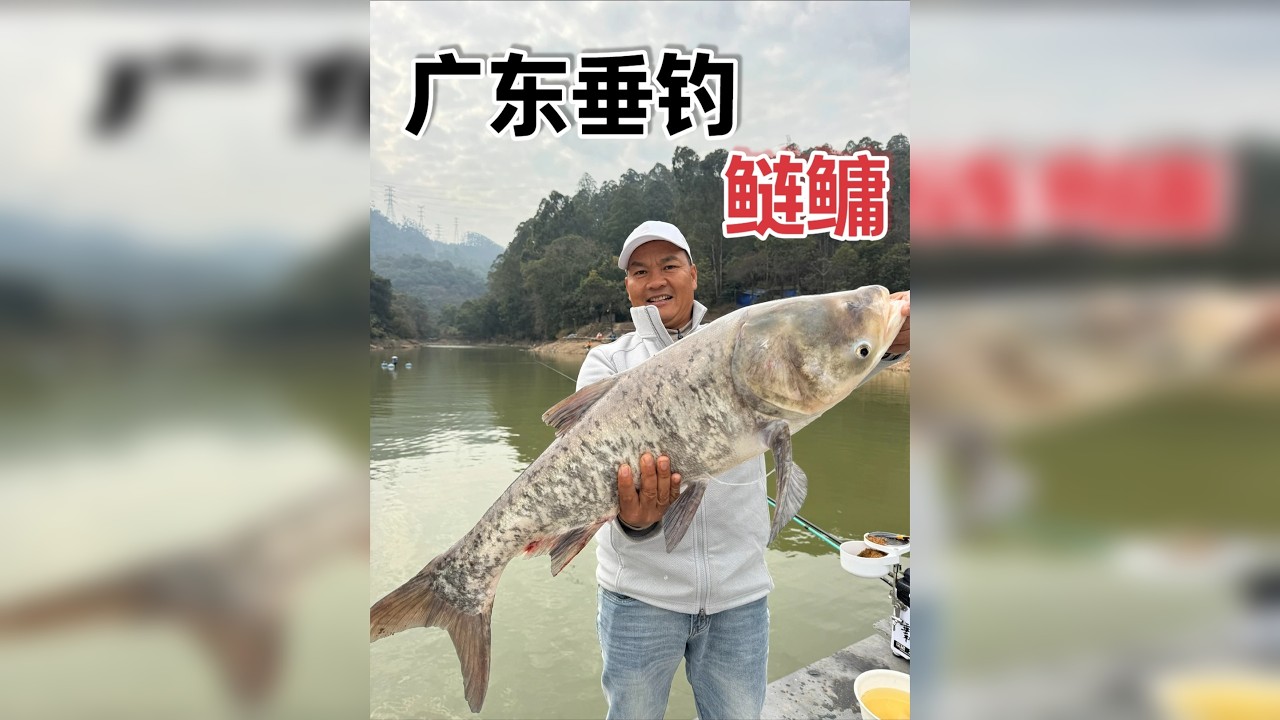 用兰博基尼鸡换钓费，翘嘴在闹窝、底钓鲢鳙、青鱼同样盘老板