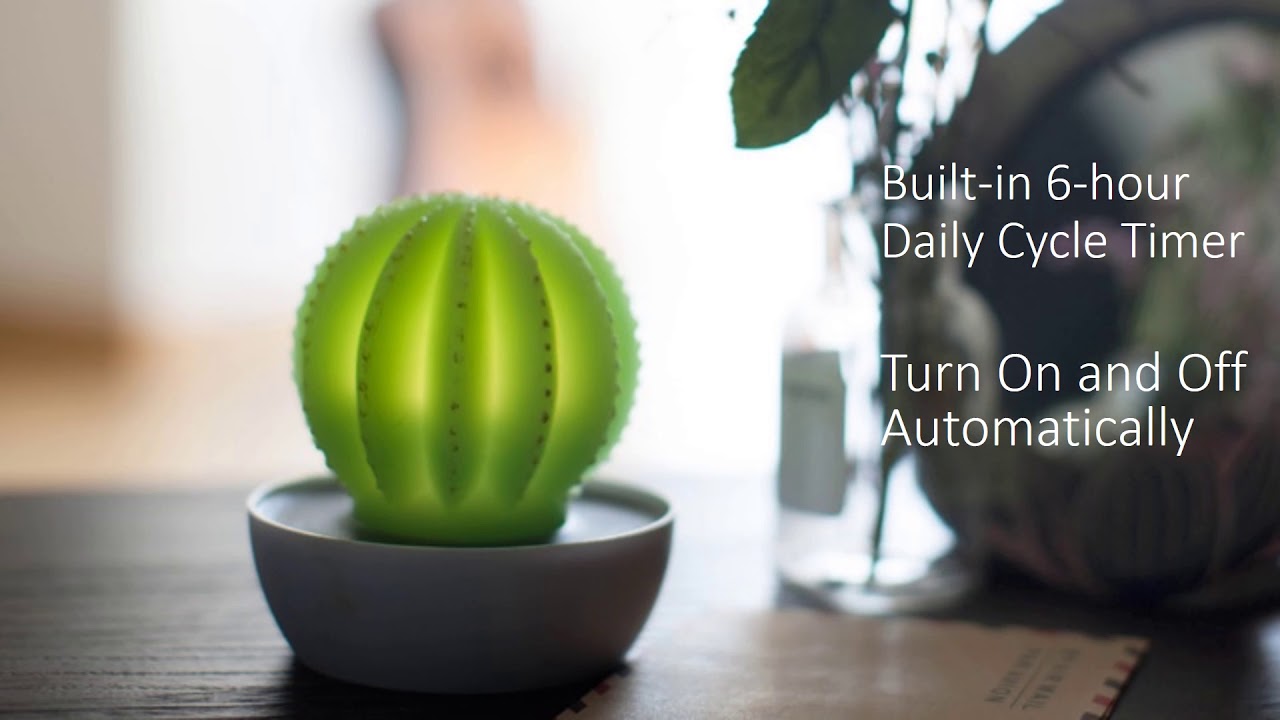 Handmade and Hand Painted Real Wax Cactus LED Candle Light