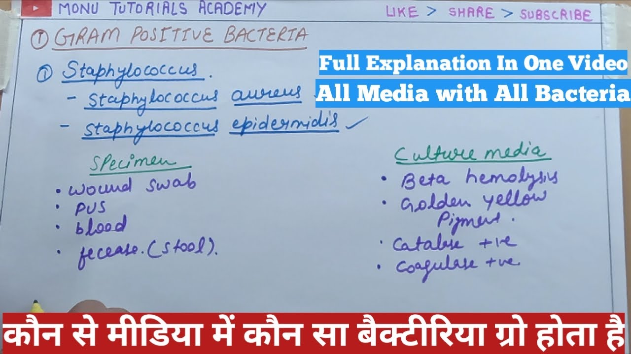 Which culture media grow on which bacteria | Kon se culture media pr kon se bacteria grow krte hai