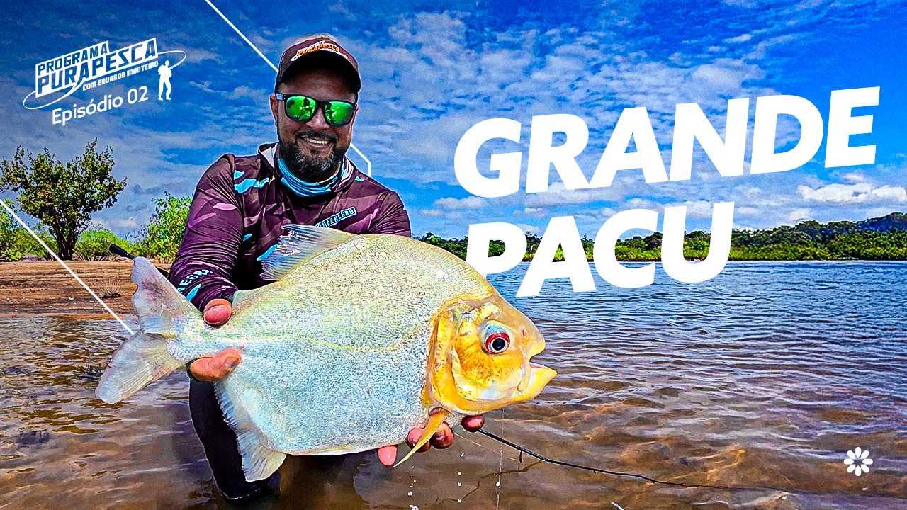 EMO&Ccedil;&Atilde;O no Rio Xingu: Tucunar&eacute;-Amarelo Gigante e Pacu-Seringueiro na Linha | Pura Pesca
