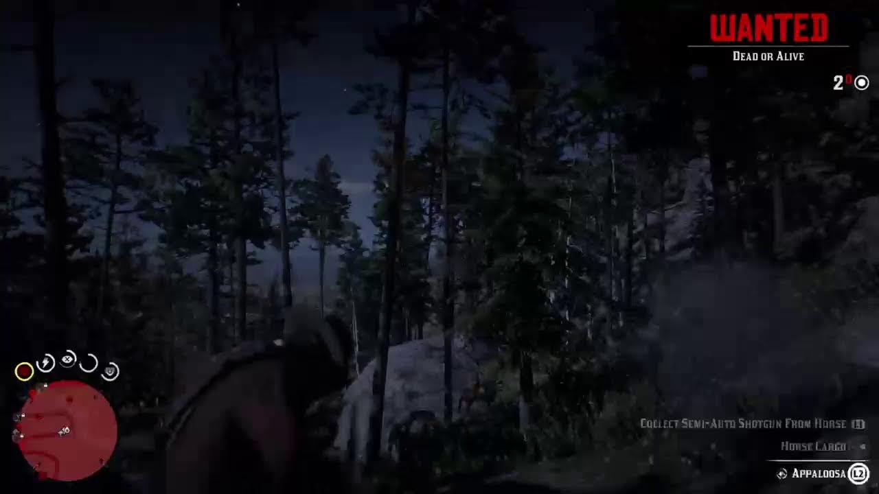 Back on rdr2 (Pt9)