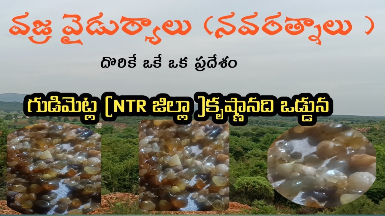 ఆంధ్రప్రదేశ్ ప్రకృతి ఒడిలో వజ్ర సంపద. NTR జిల్ల గుడి మెట్ల (కృష్ణా నది ఒడ్డున )melam bross