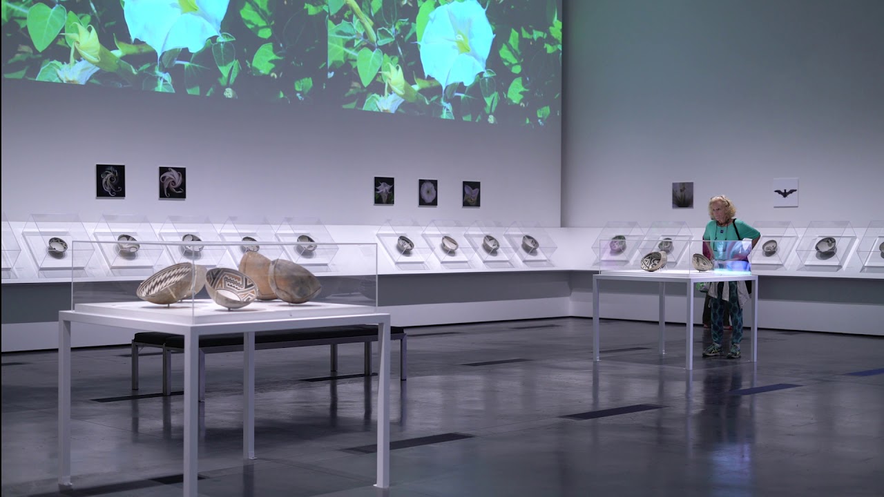 Mimbres and the greater Mesoamerican trade network | Mimbres Ceramics