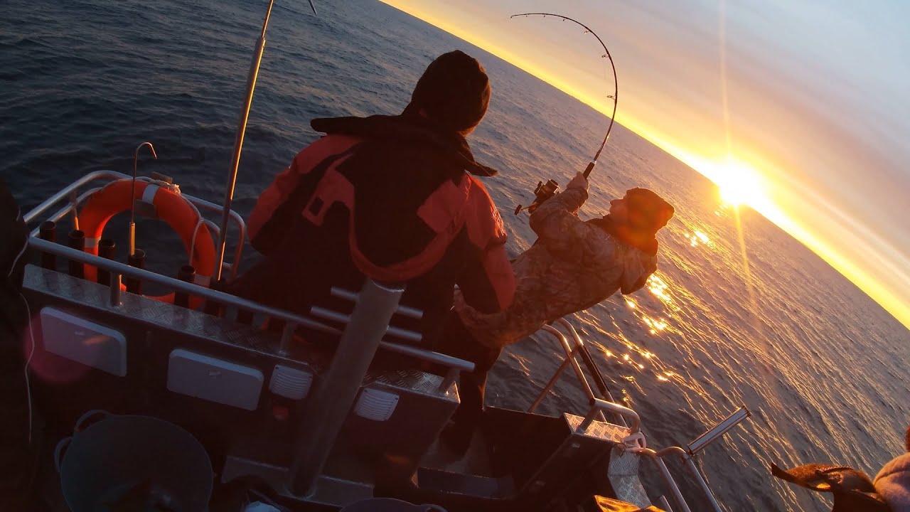 Wyprawa na dorsza z miasta Hirtshals-Denmark