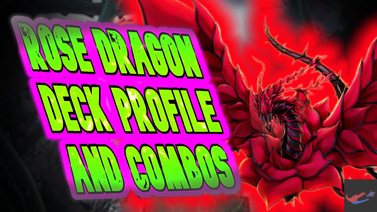 Yu-Gi-Oh! *IN DEPTH* Rose Dragon Deck Profile And Combos November 2021