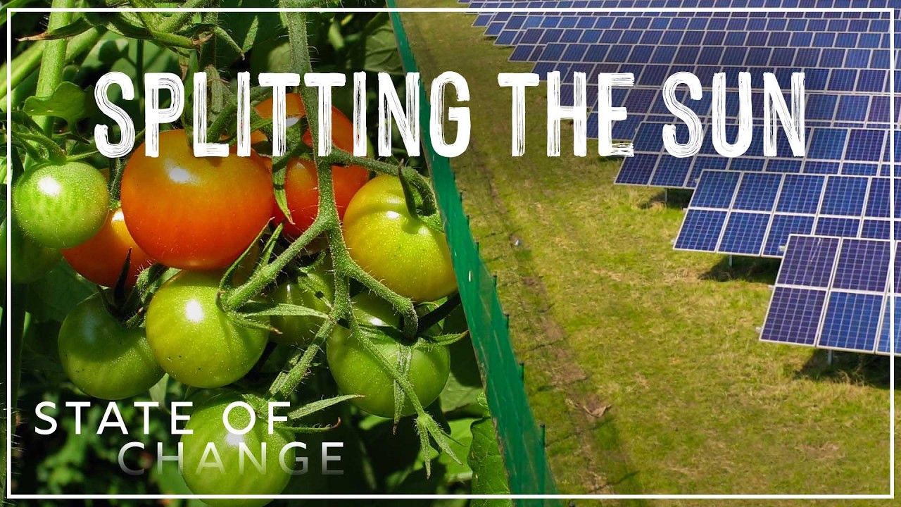 Can solar panels and crops share the sun in the same place? | State of Change: Solar Harvest