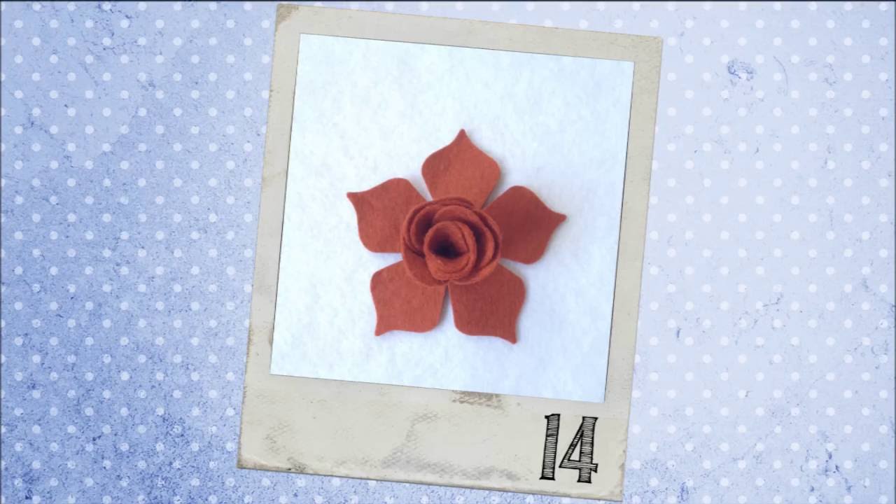 Video rosa con fiori giganti