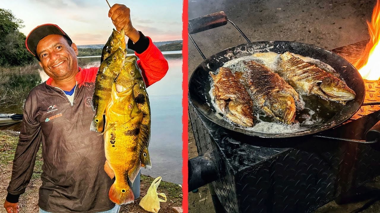 Olha só o tanto de peixe que saiu nessa pescaria, pescamos e fizemos peixe frito no disco de arado