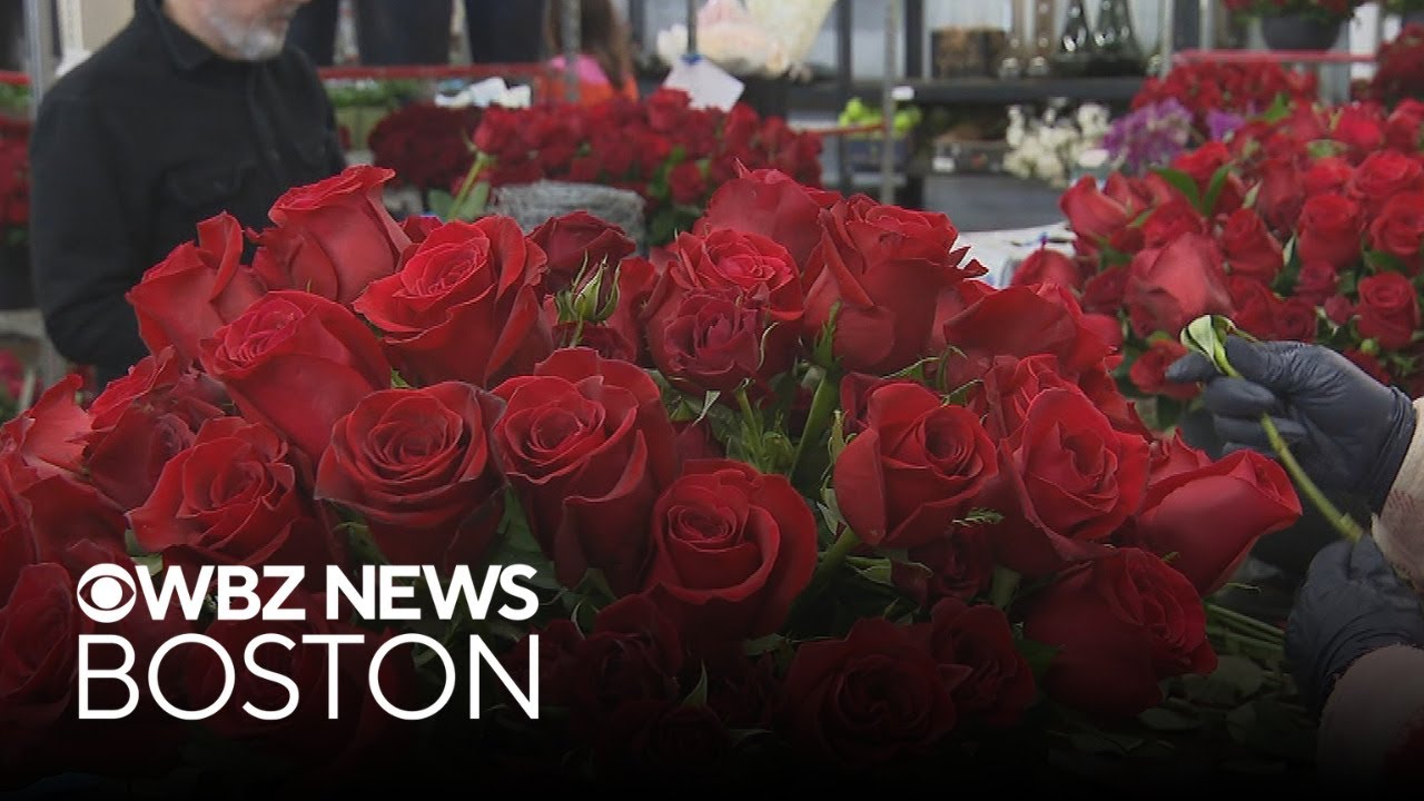 Are apps changing the dating culture in Boston?