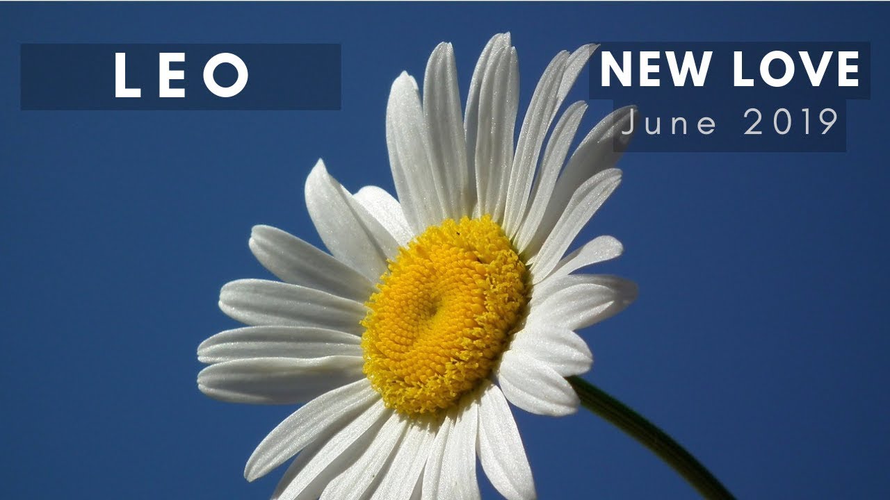 LEO: New Love! June 2019