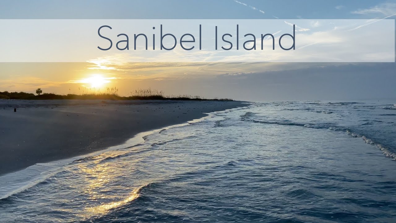 Shelling on Sanibel Island. Low tide treasures on an early morning beach walk.