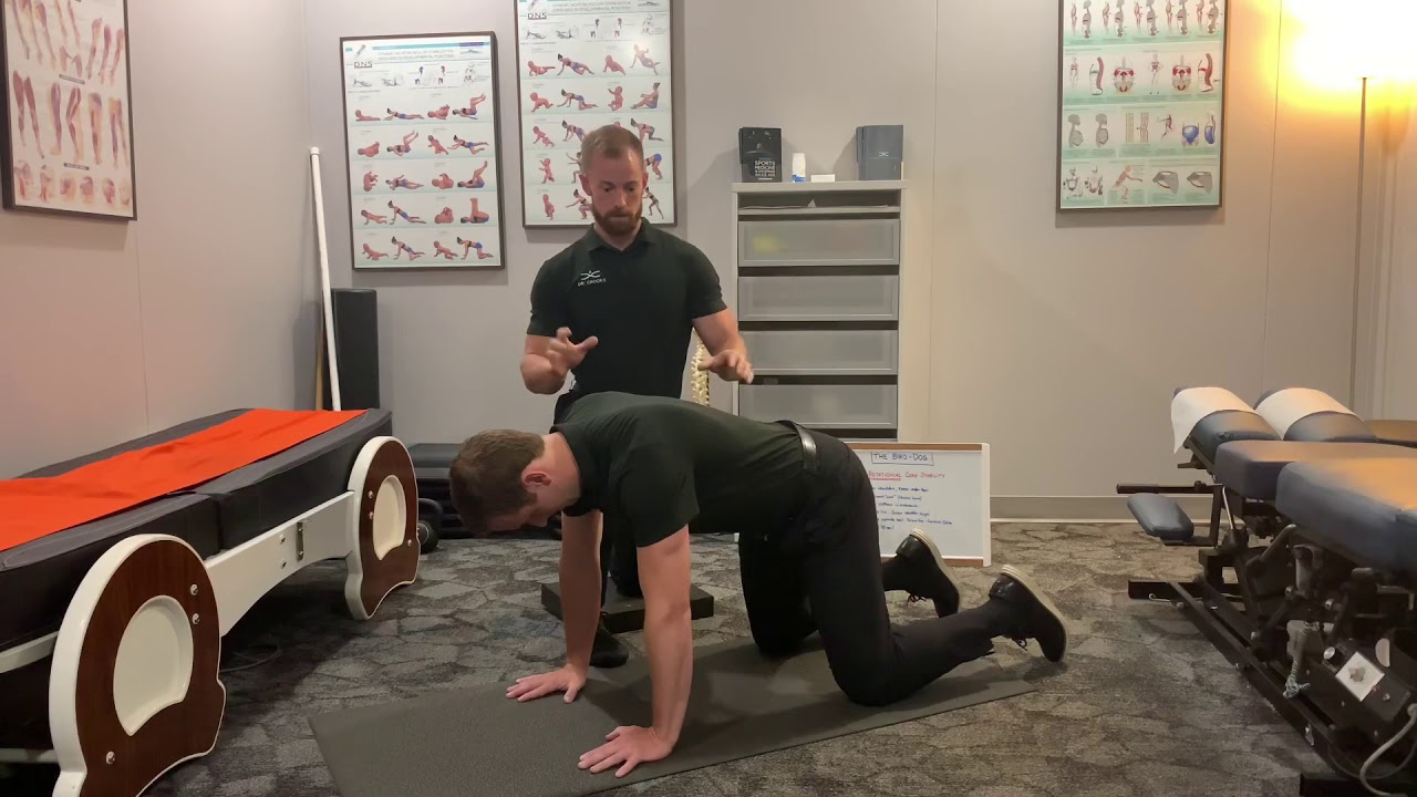 The Bird Dog: Anti-Rotational Stability