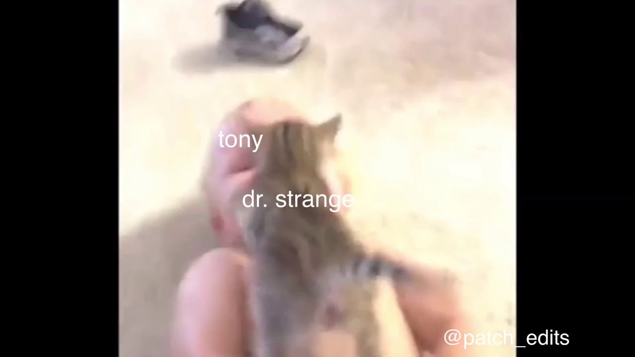 infinity war spoilers but it’s just cat vines part 2