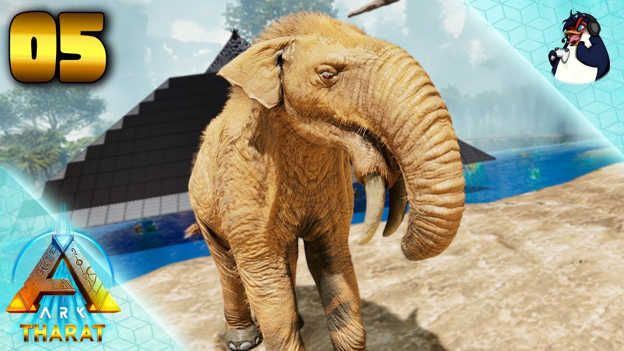 CAPTURE CHAOTIQUE DU DEINOTHERIUM ET MA MAGNIFIQUE PYRAMIDE : Ep5 THARAT Ark Ascended
