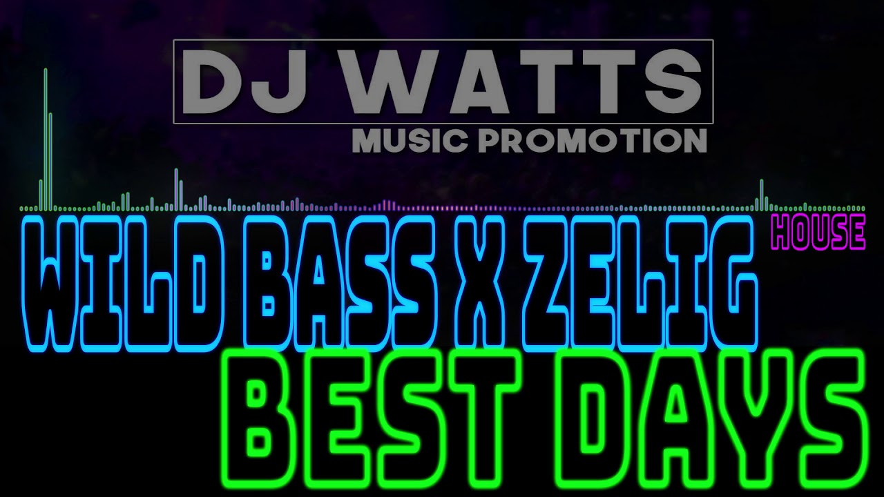 ZELIG X WILD BASS - Best Days [HOUSE] (2018)