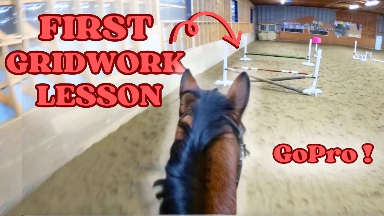 MY FIRST GRID WORK LESSON | Horse Lesson Vlog