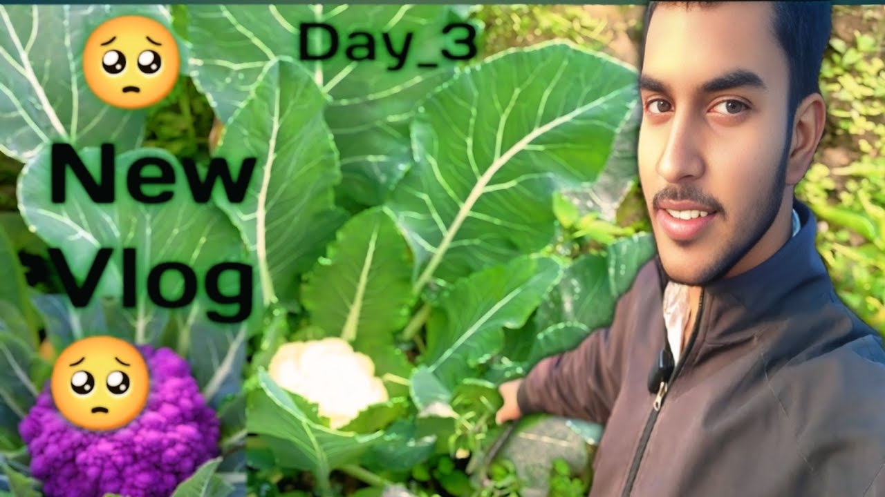 Garden Vlog Gone Wrong 😜 | फूल से लेकर मिर्ची तक 🥺