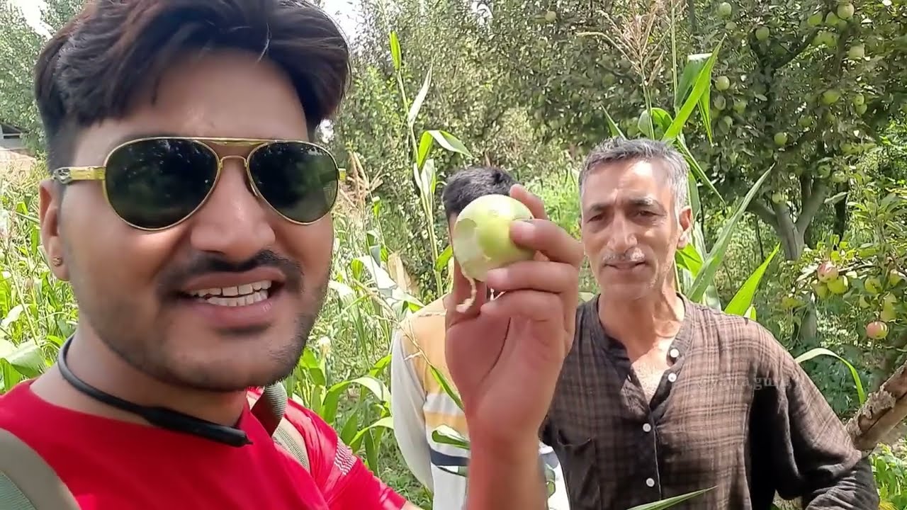Found so much love in the villages of Kashmir||Glimpse of Kashmiri villages||Kashmir village vlogs
