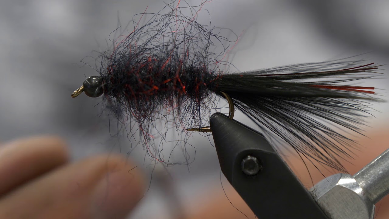 Jeff Medley ties the Bloody Black Leech