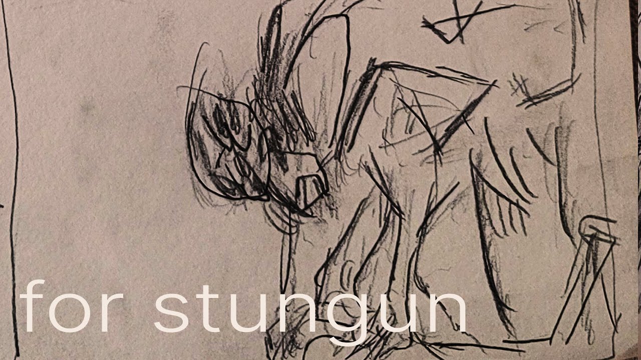 For stungun