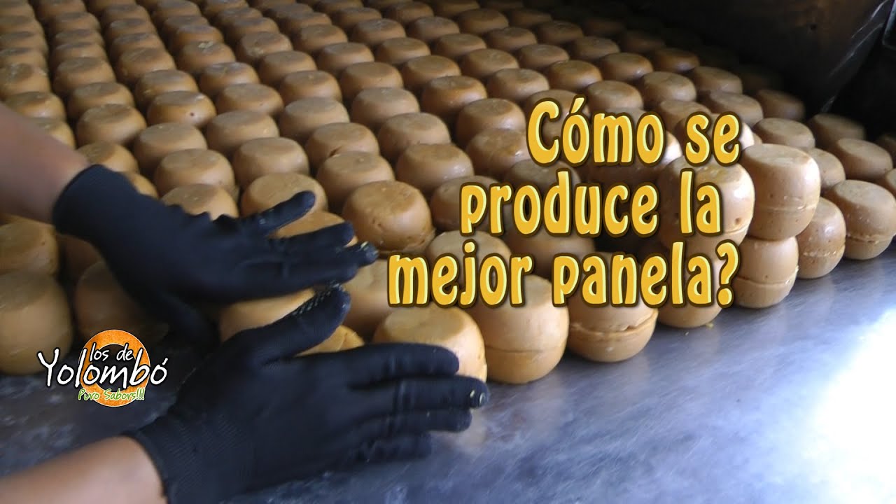 Los de Yolombo - Cómo se Produce la Mejor Panela