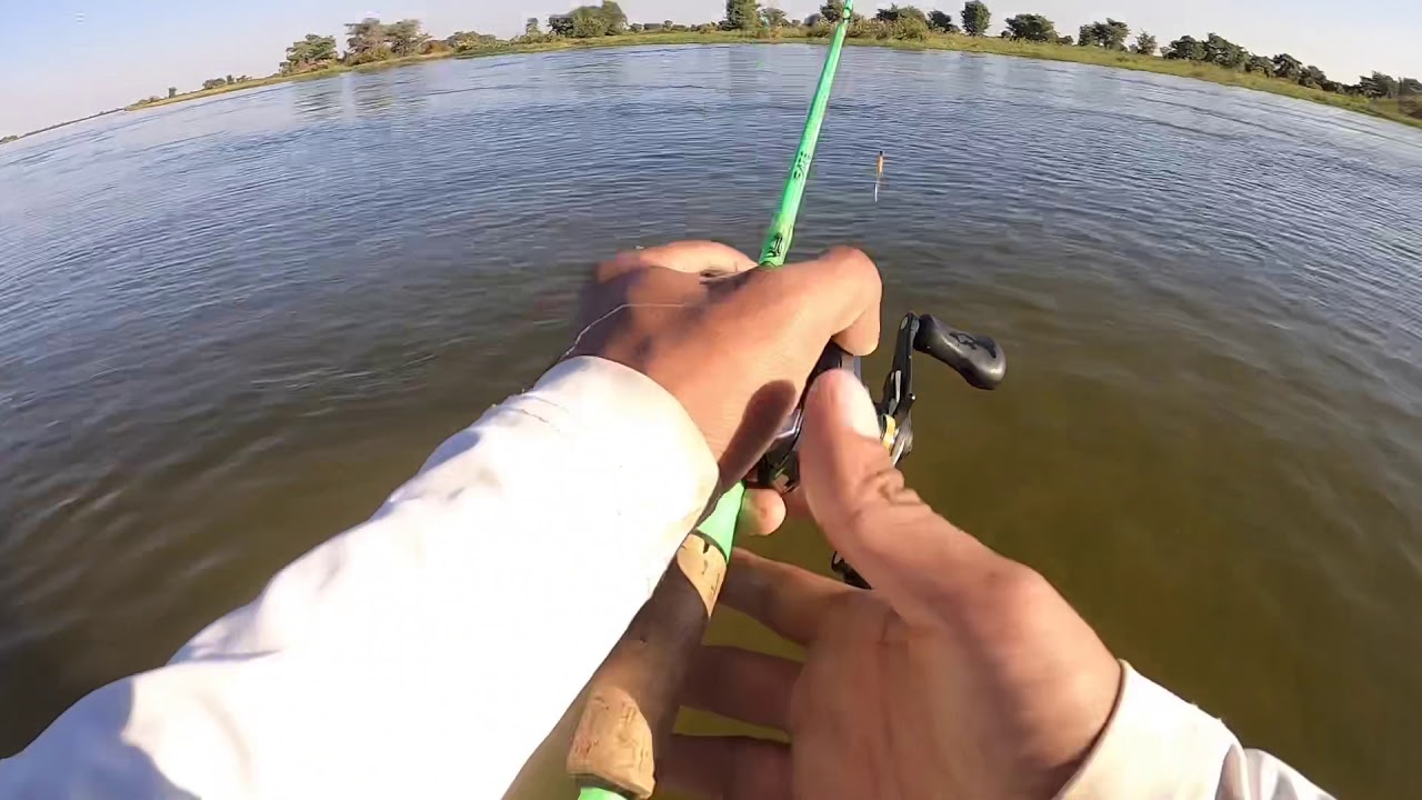 The Tigerfish couldn’t resist this jig!