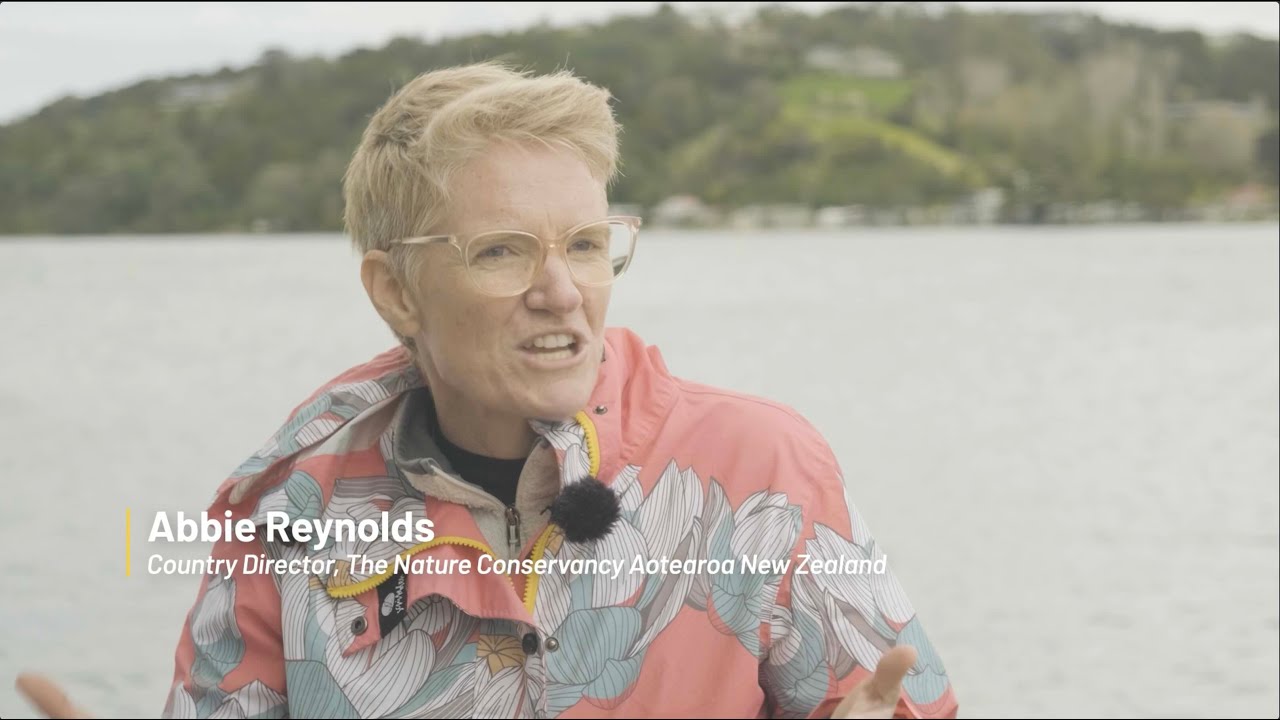 Returning mussels to the Hauraki Gulf - July 2024