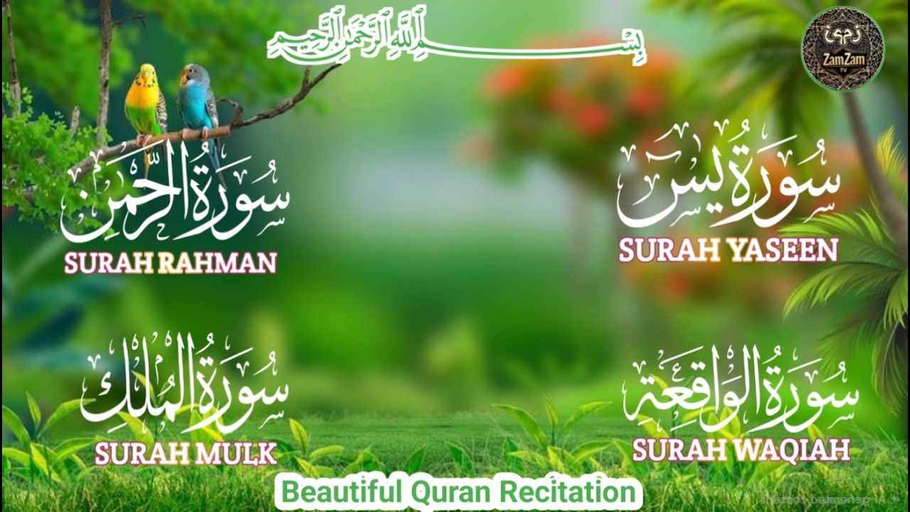 Yaseen Surah with Heart Touching Voice Surah Rahman Surah Wqaiah Surah Mulk